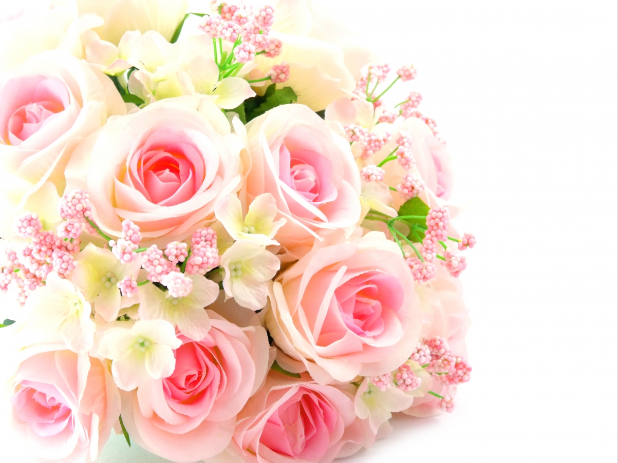 Pink roses, flowers, bouquet, high