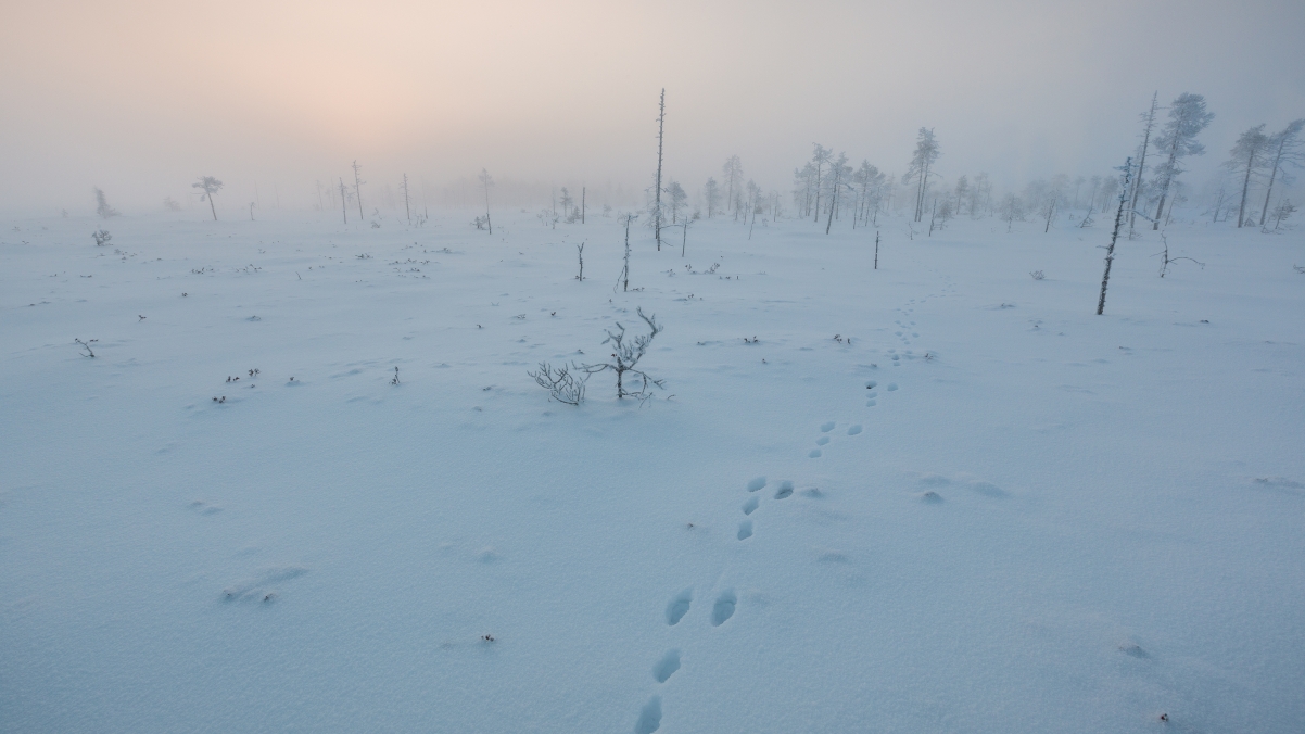 Finland Snow 4k Wallpaper