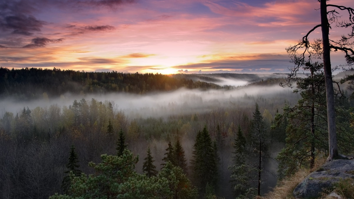 Sunrise in Knox National Park, Finland