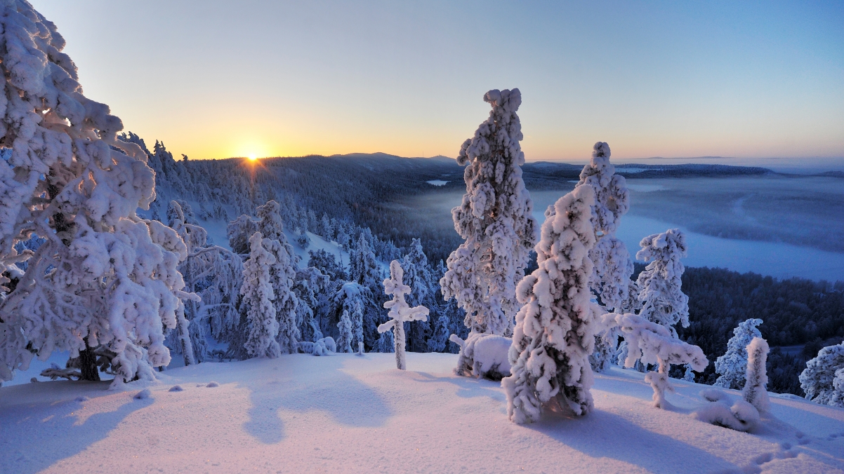 Finland Winter Snow 4k Wallpaper