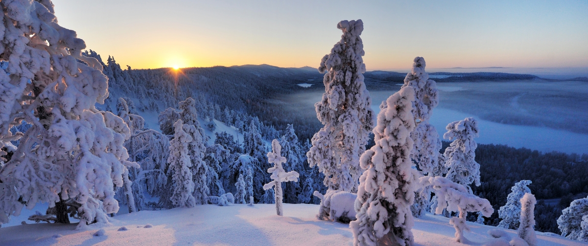 Finland winter snow scene 3440x1440 table
