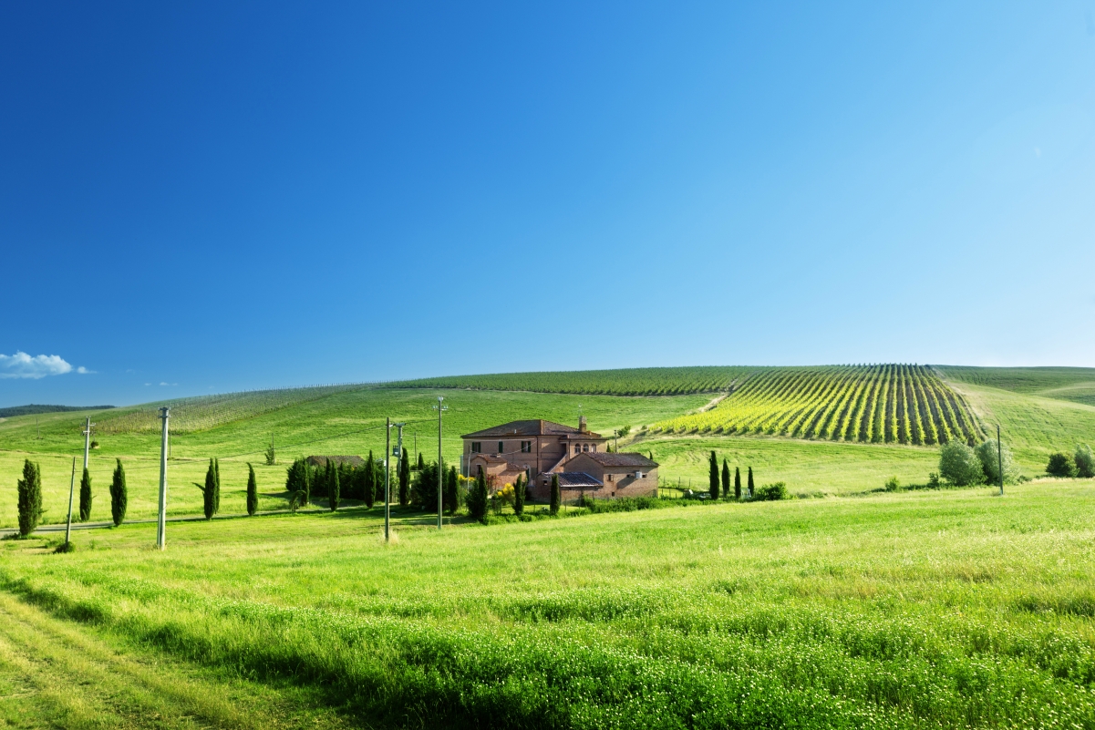 House, telephone pole, farm, green grass