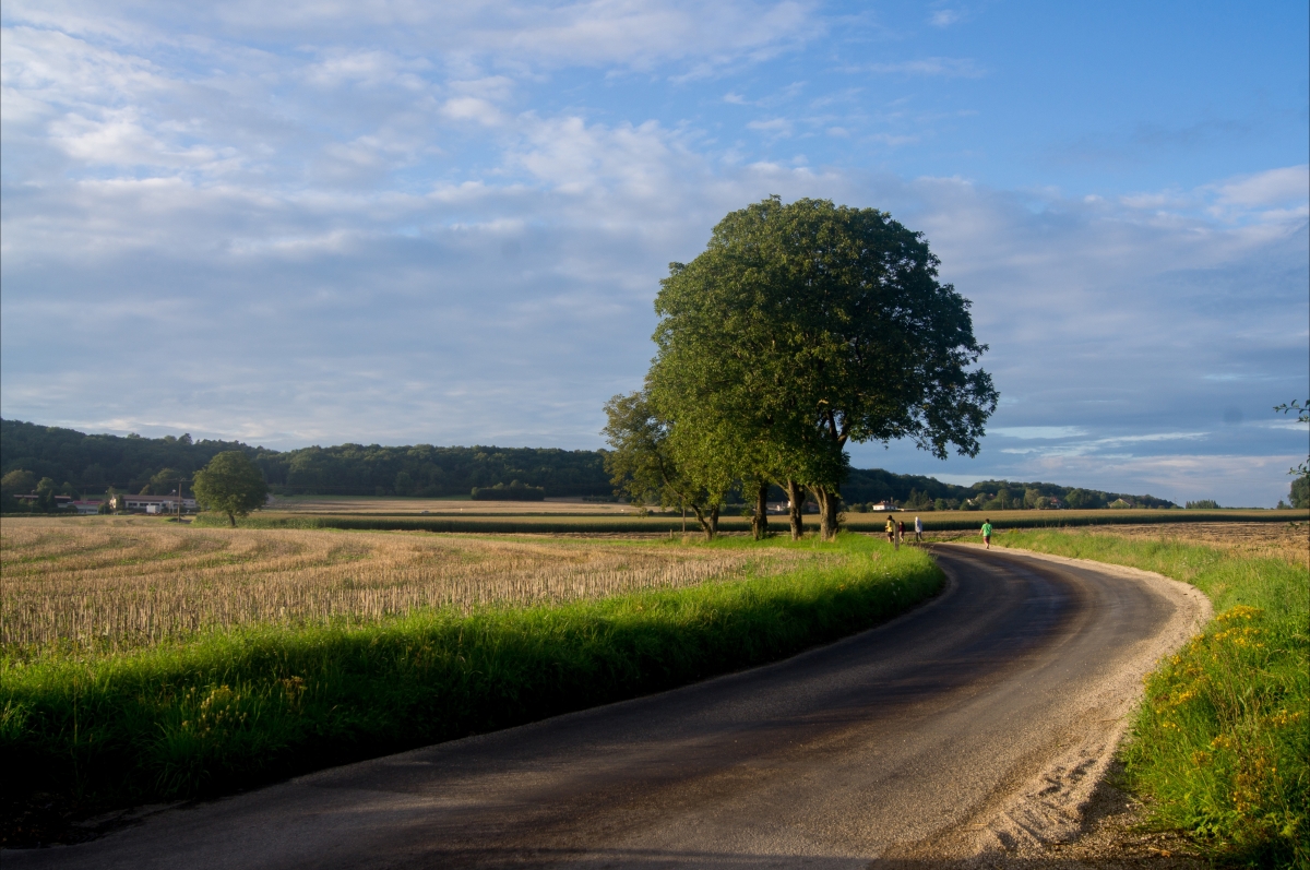 French country road 4K landscape picture