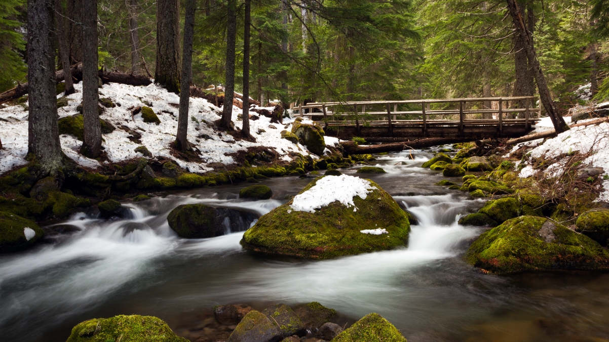 Tamanawas Falls, Oregon