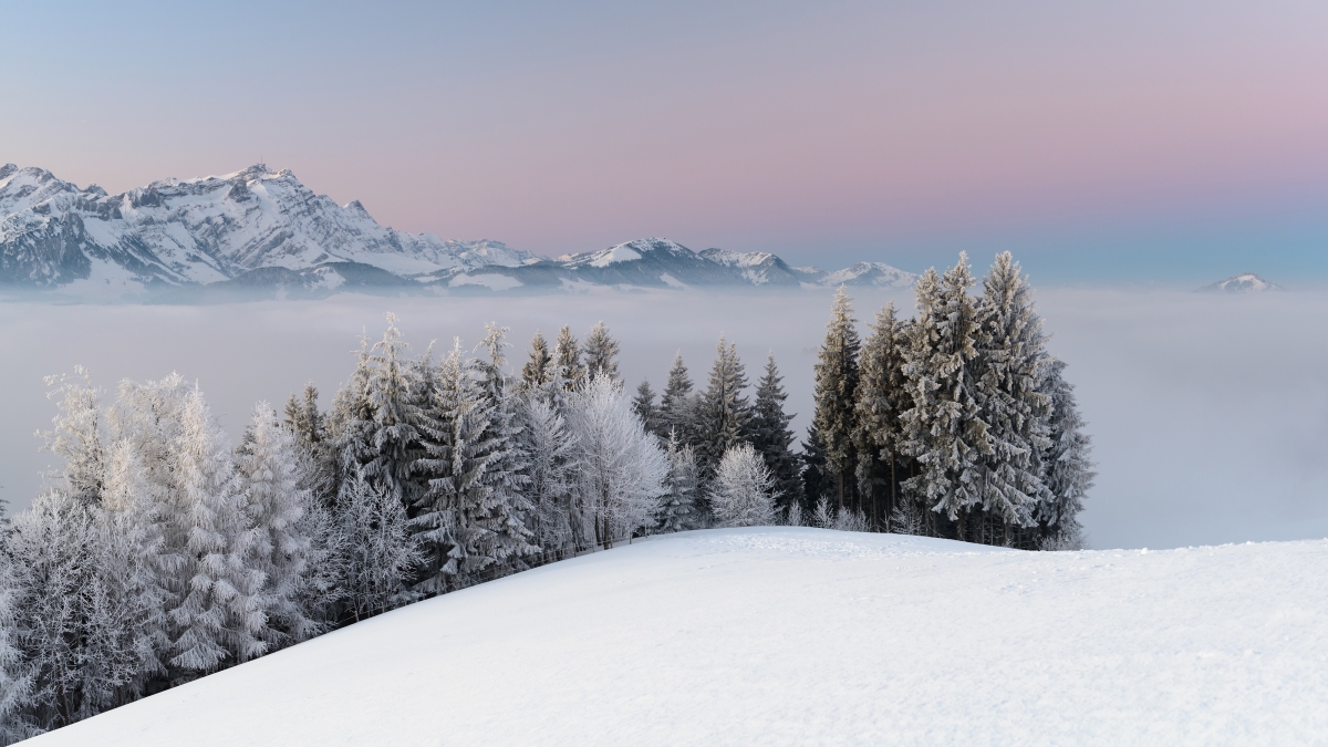 Winter snowy mountains, fog, trees, natural wind