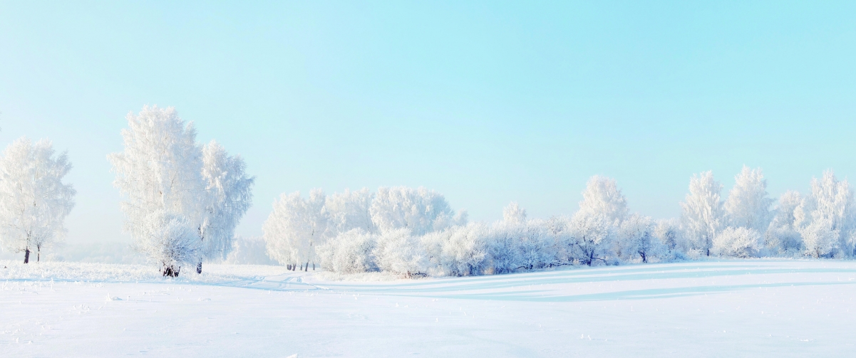 Winter snow scene tree snow 3440x144