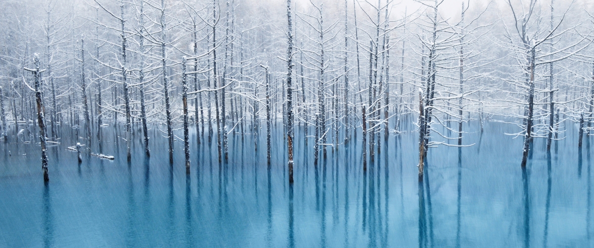 Winter forest landscape 3440x1440 wall