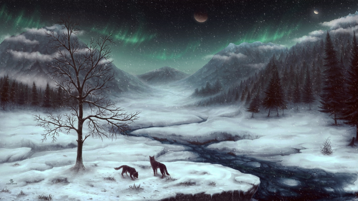 Winter, snow, mountains, woods, wolf, 4