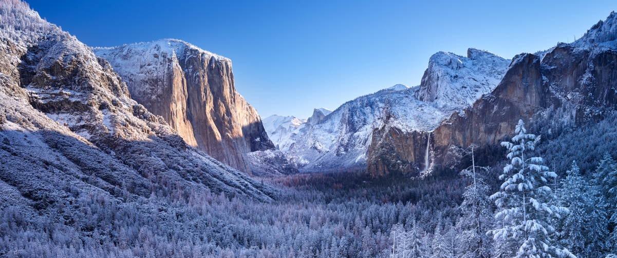 Winter Yosemite National Park Wind
