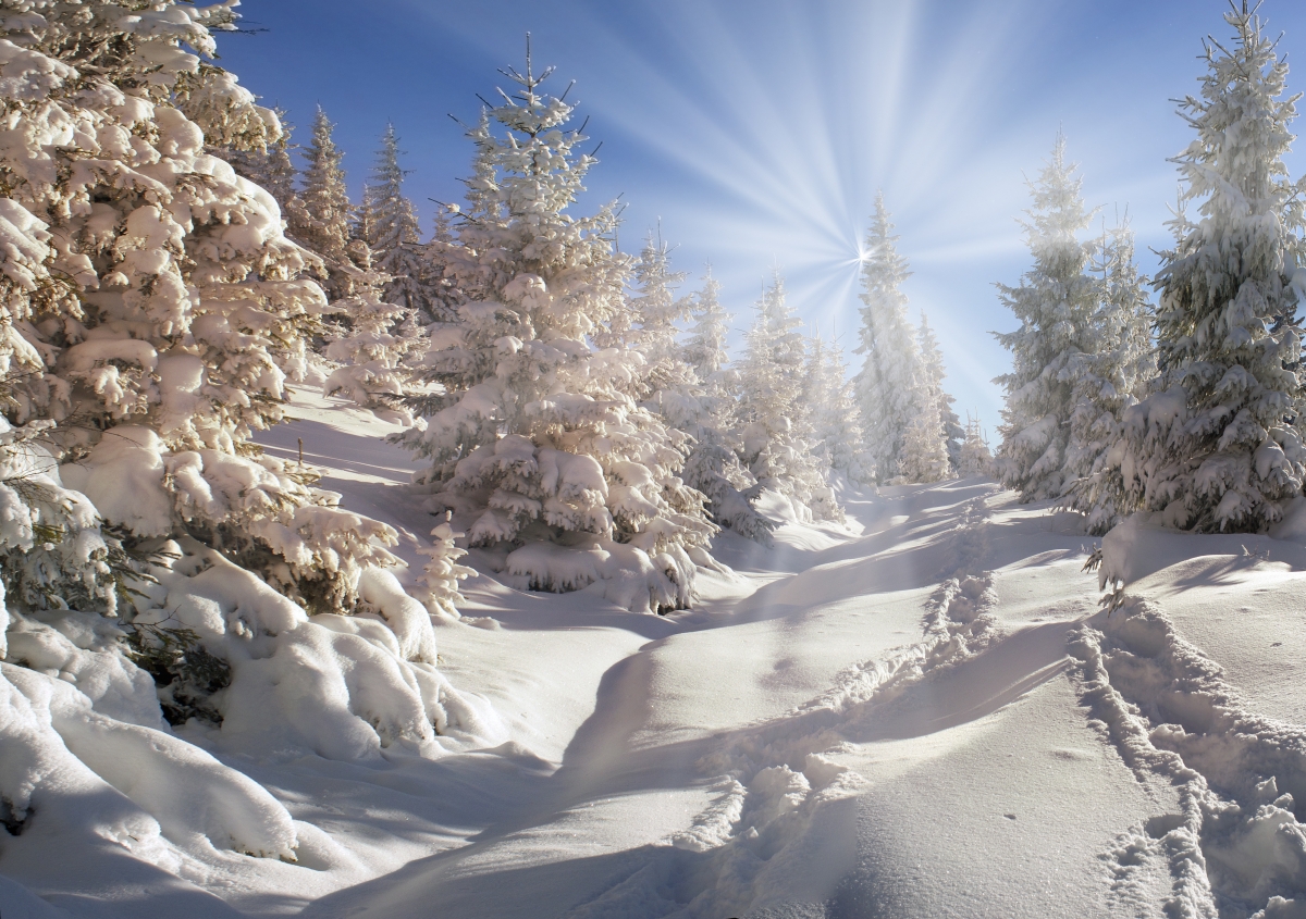 Winter Snow Landscape 4K Wallpaper