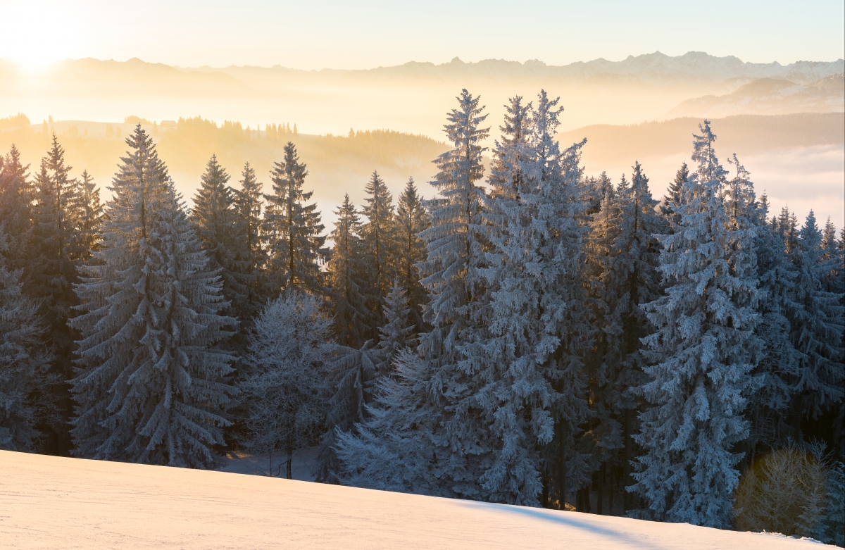 Winter landscape 4K pictures