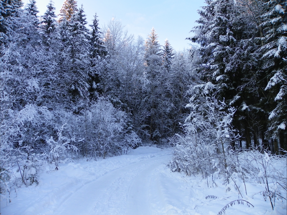Winter road turning 4K landscape pictures