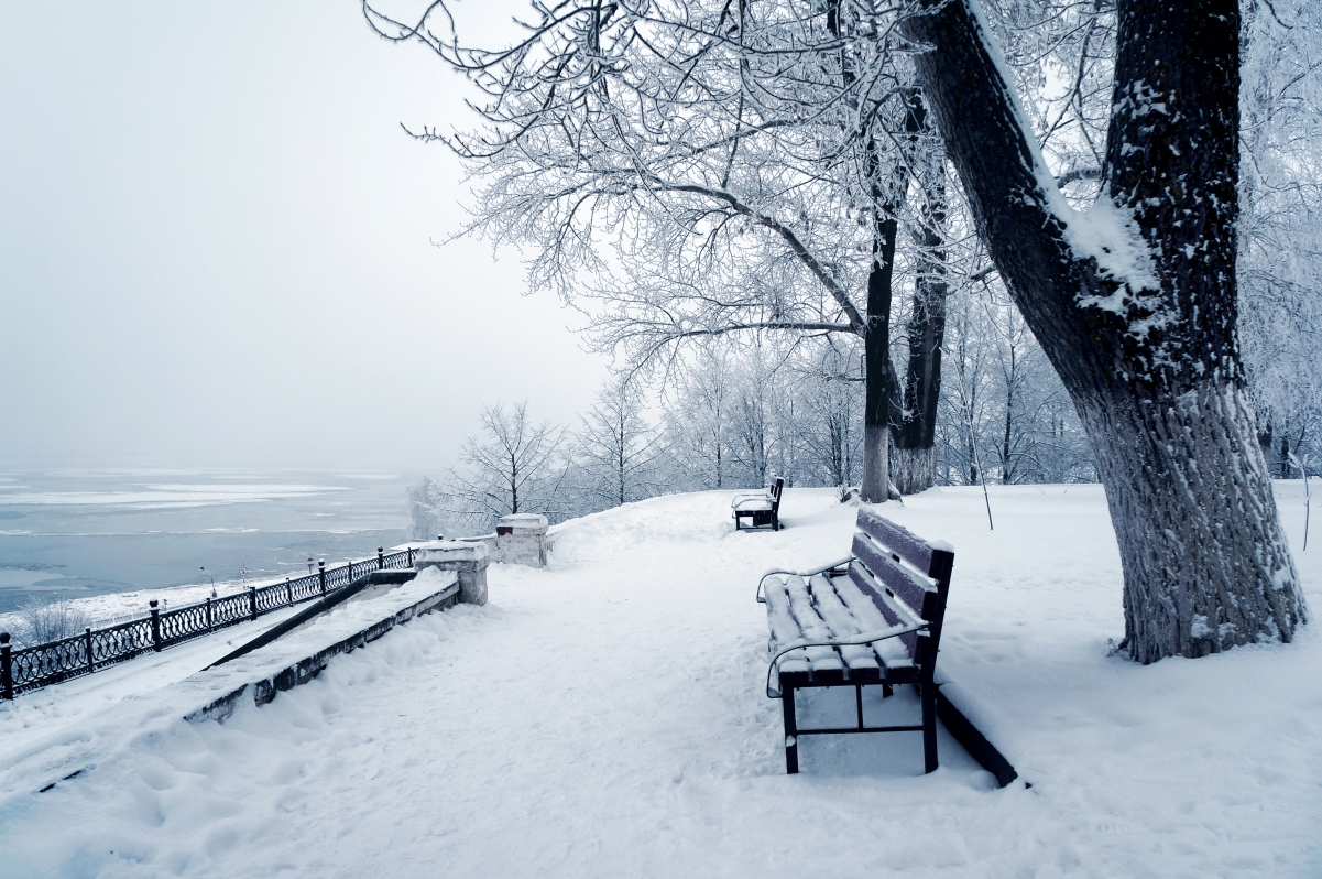 Winter snow bench woods 4K wind