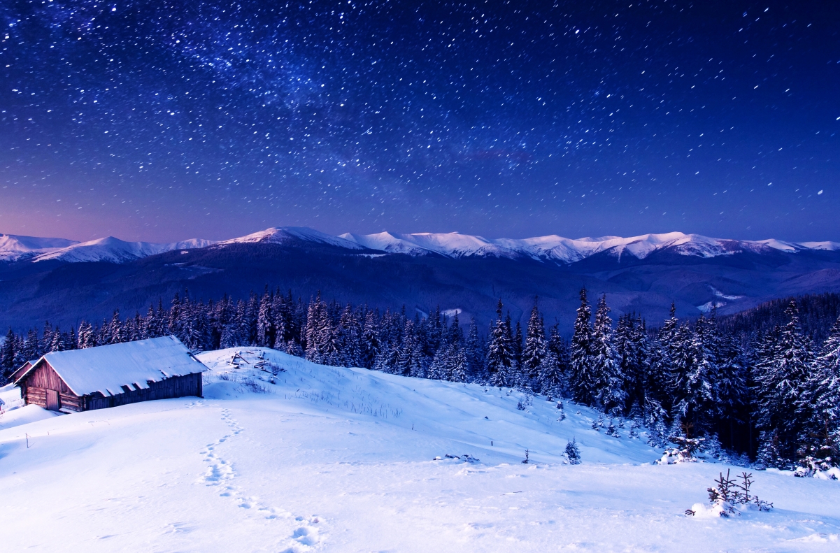 Winter forest sky snow trees