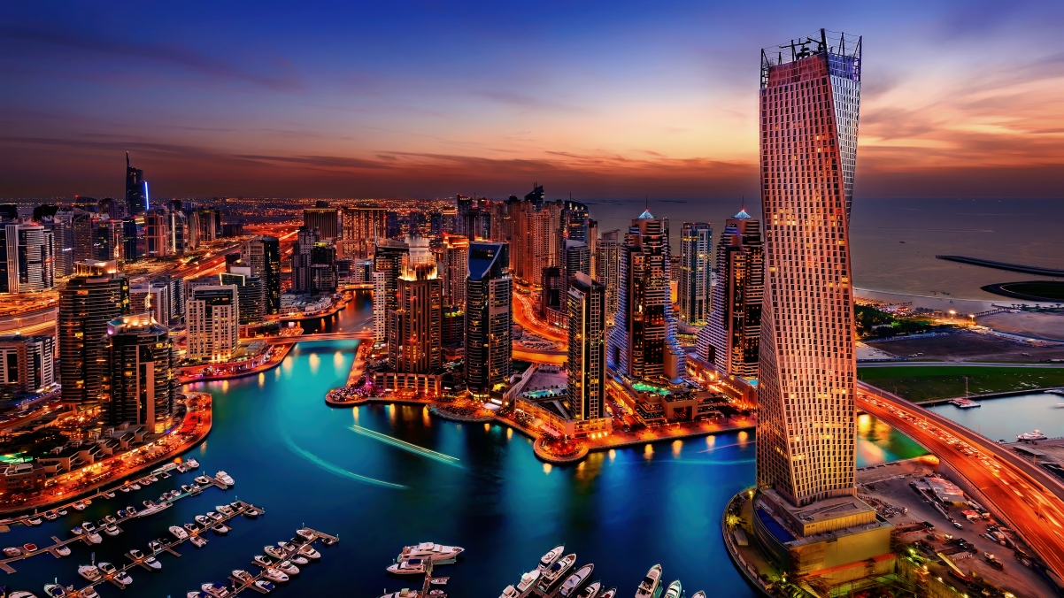 Dubai skyscrapers bird