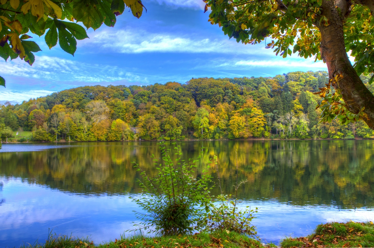 Ulmen river in autumn forest, Germany