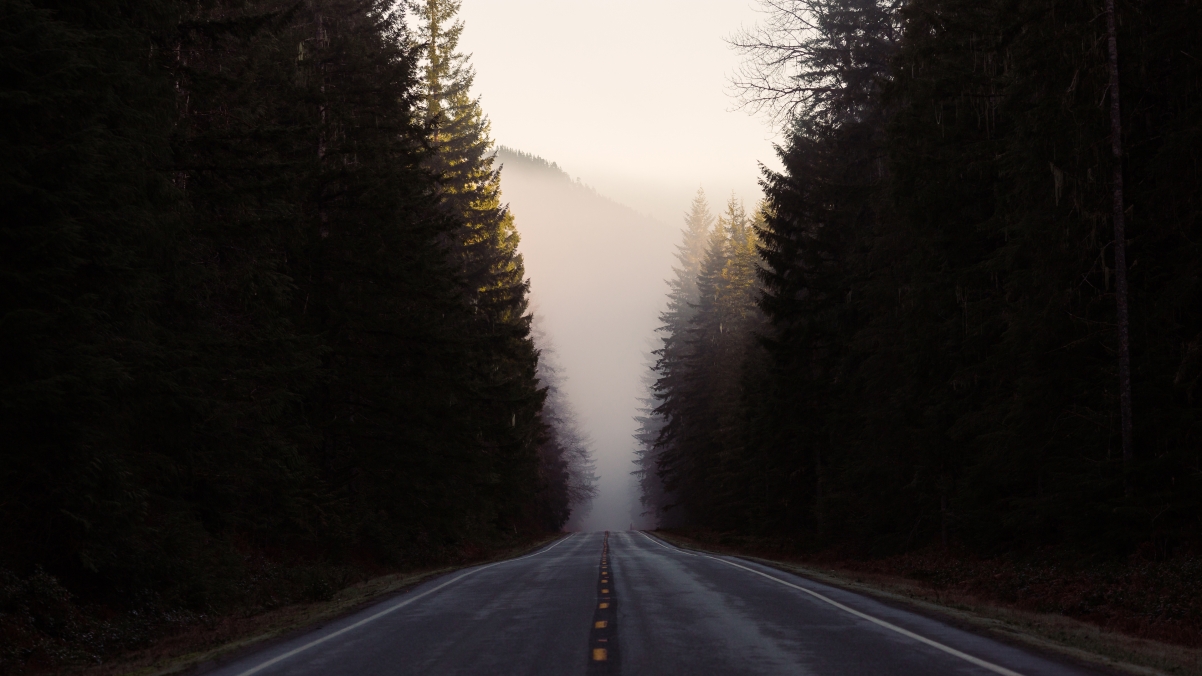 Road forest natural scenery 4K wall