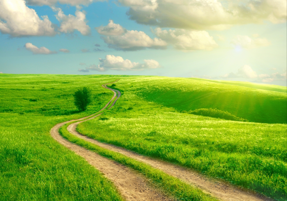 Road Grass Sky Cloud 4K Wind