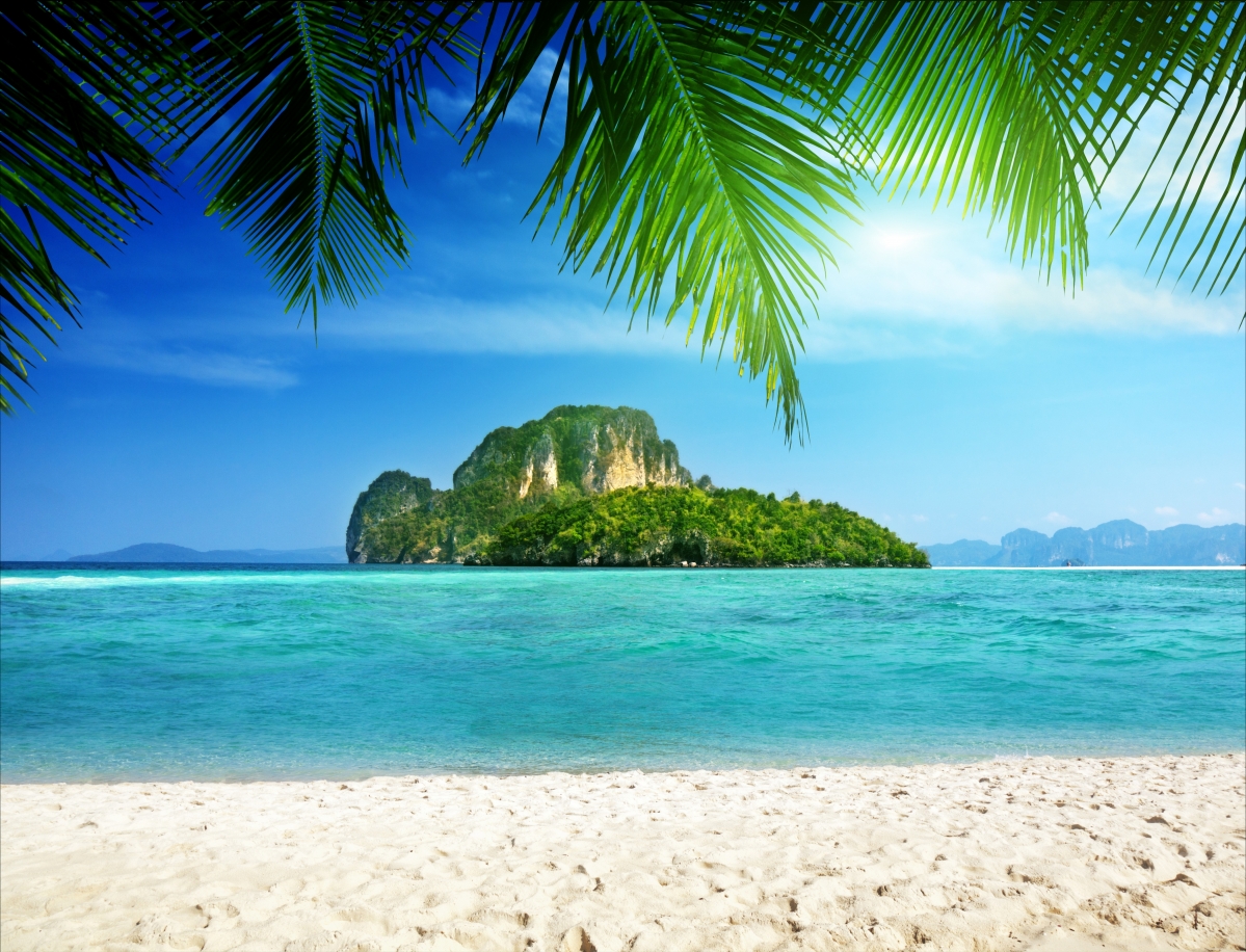 Island palm tree tropical ocean