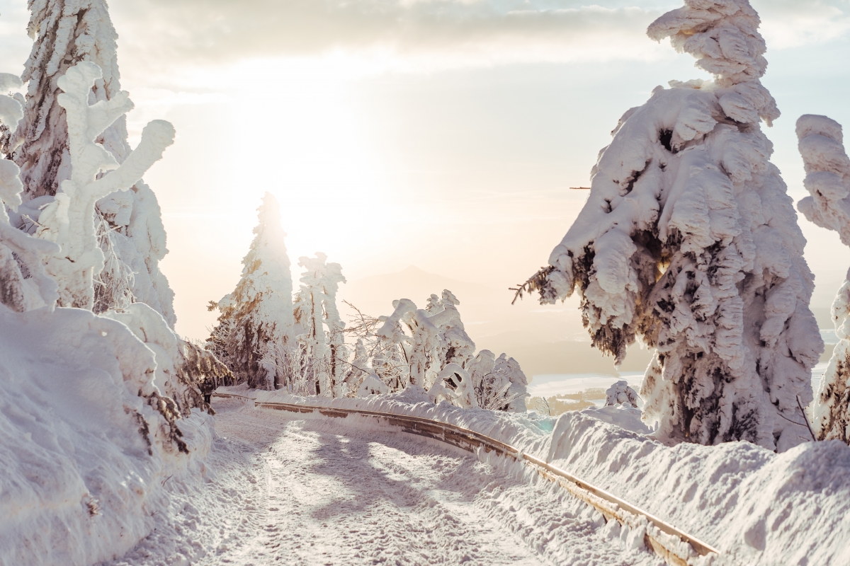 Heavy snow and thick snowy tree road 4k