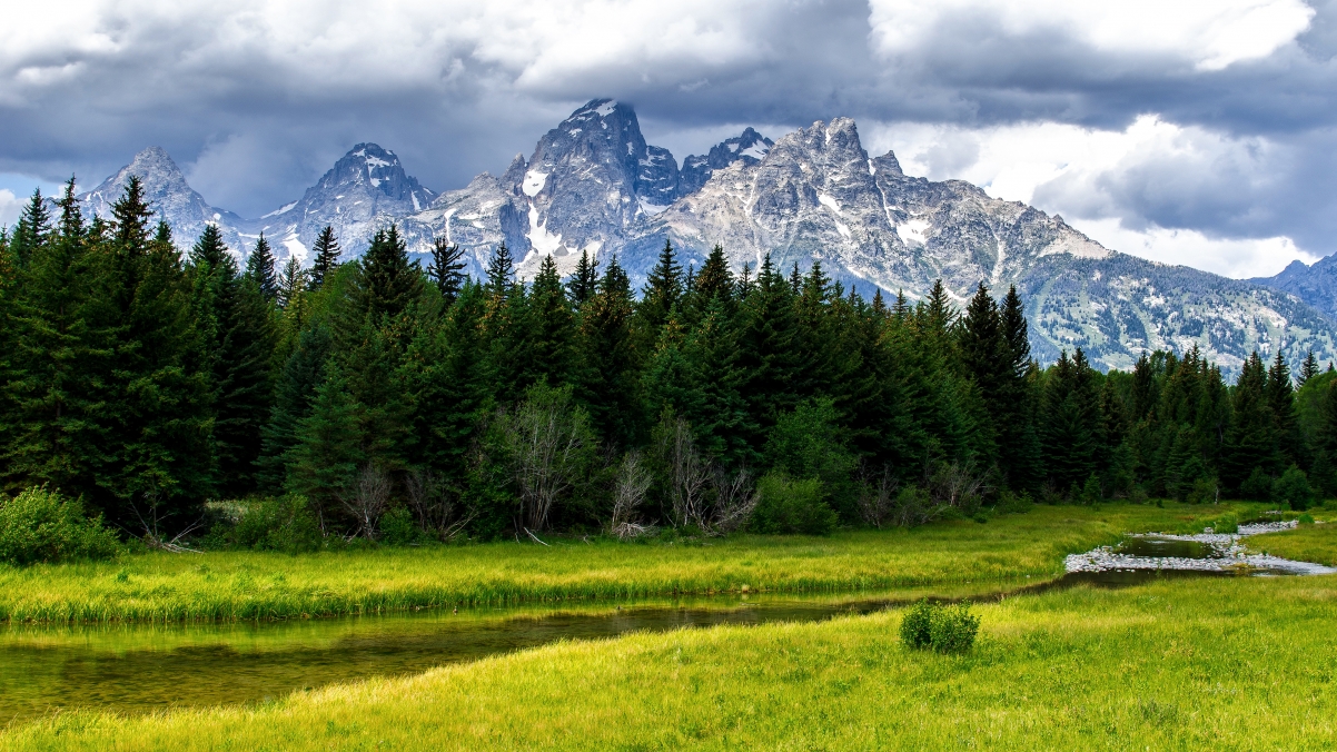 Grand Teton National Park, peak, trees
