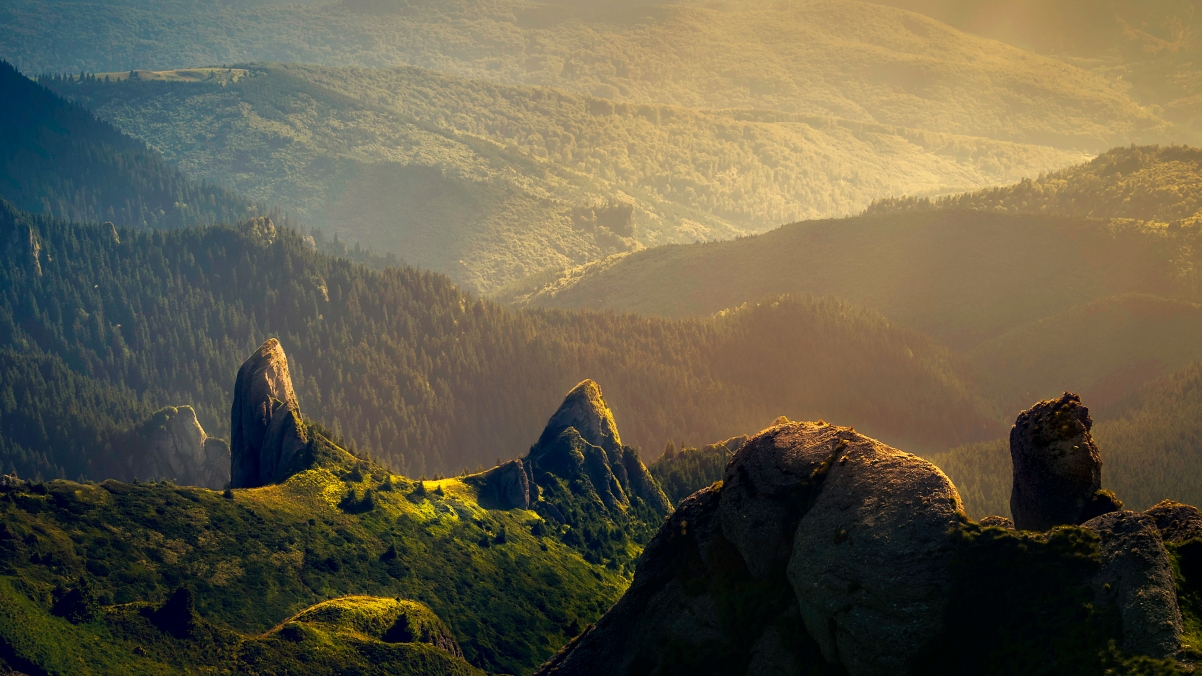 Mountain forest sunshine stone landscape photo