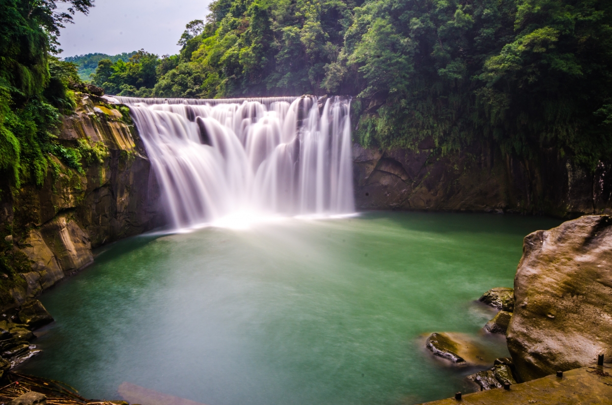 Great Falls Tree Land Landscape Forest