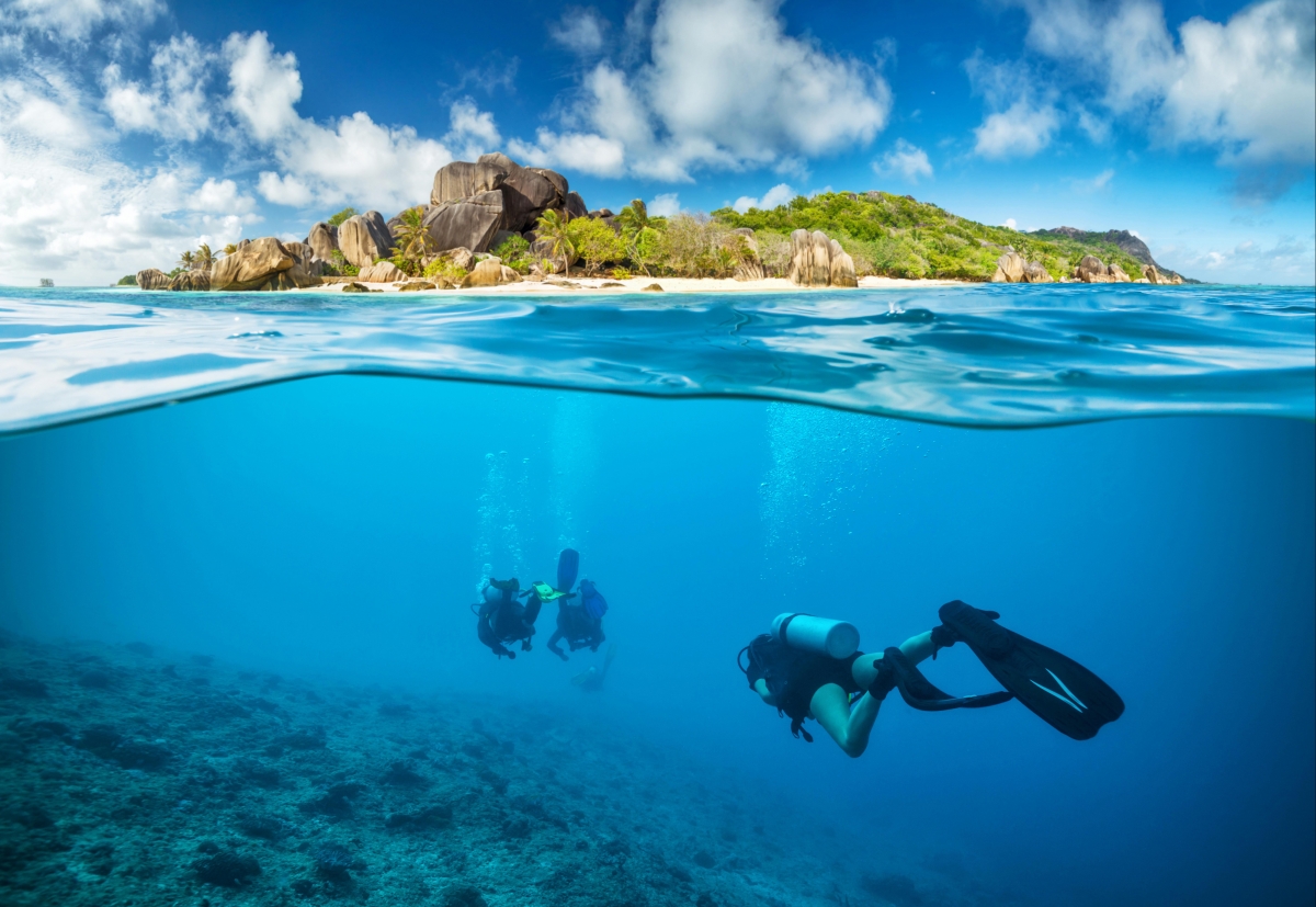 Sea Island Diver Landscape Picture