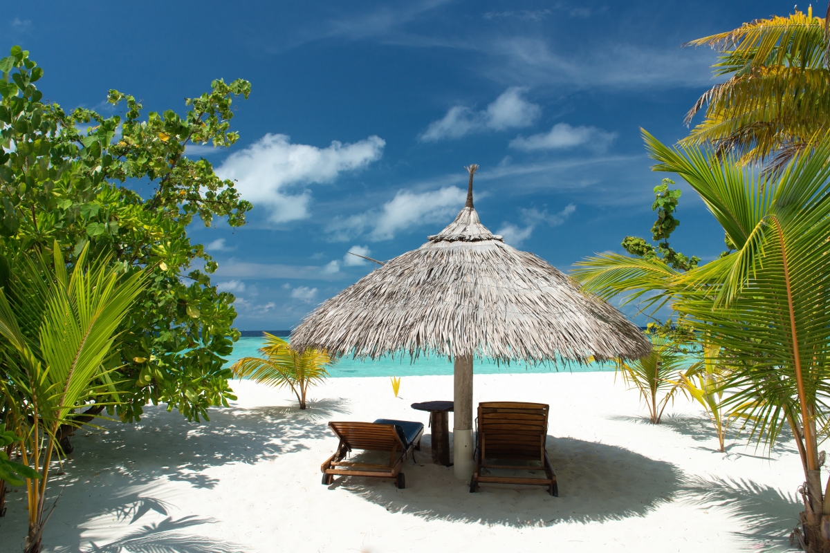 Sea, beach, palm trees, summer,