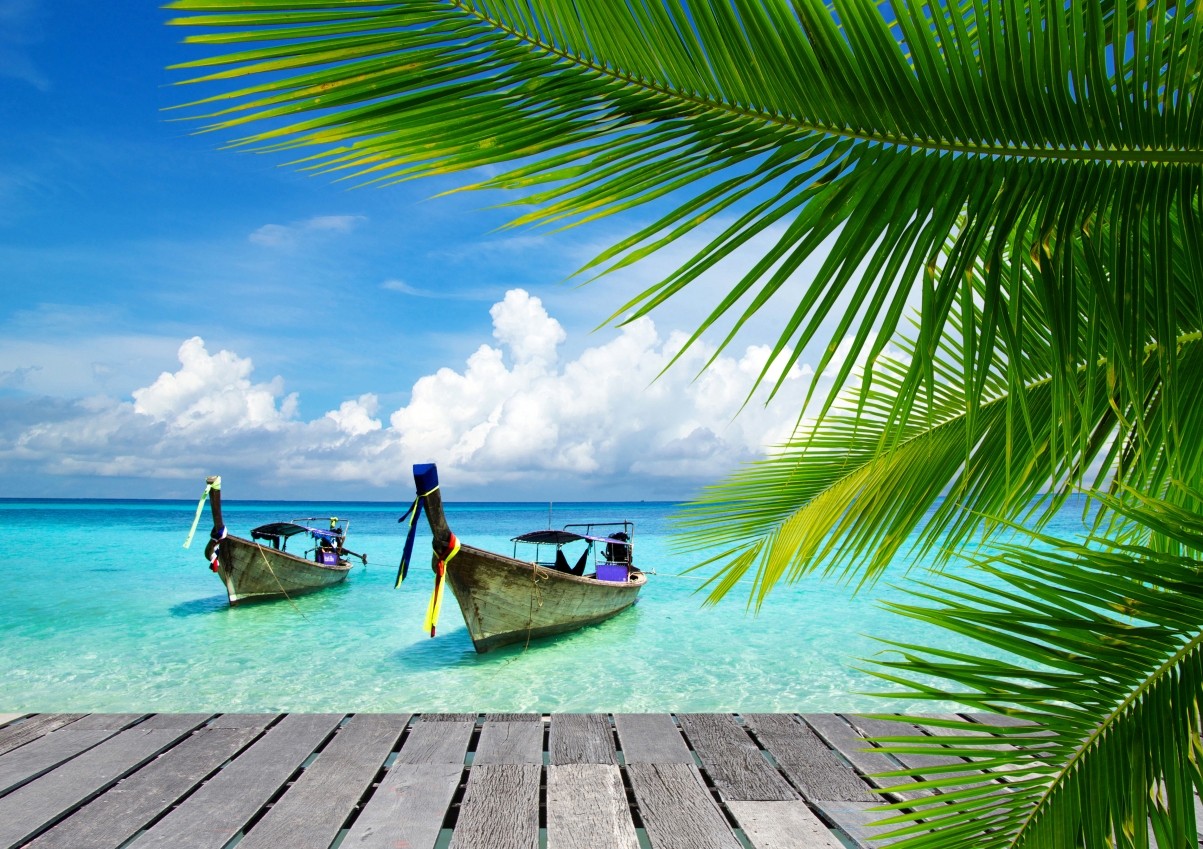 Sea, boat, bridge, palm trees, landscape