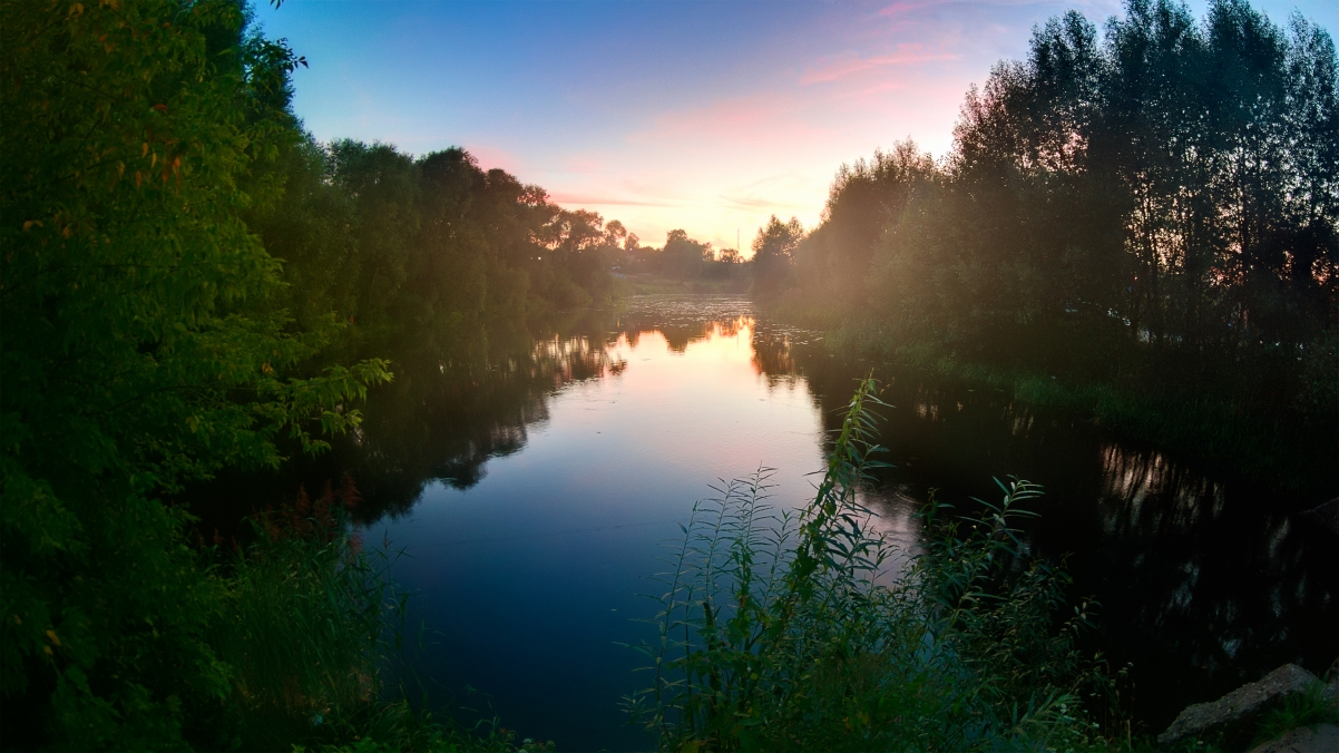 Jungle beautiful river 4K landscape wall