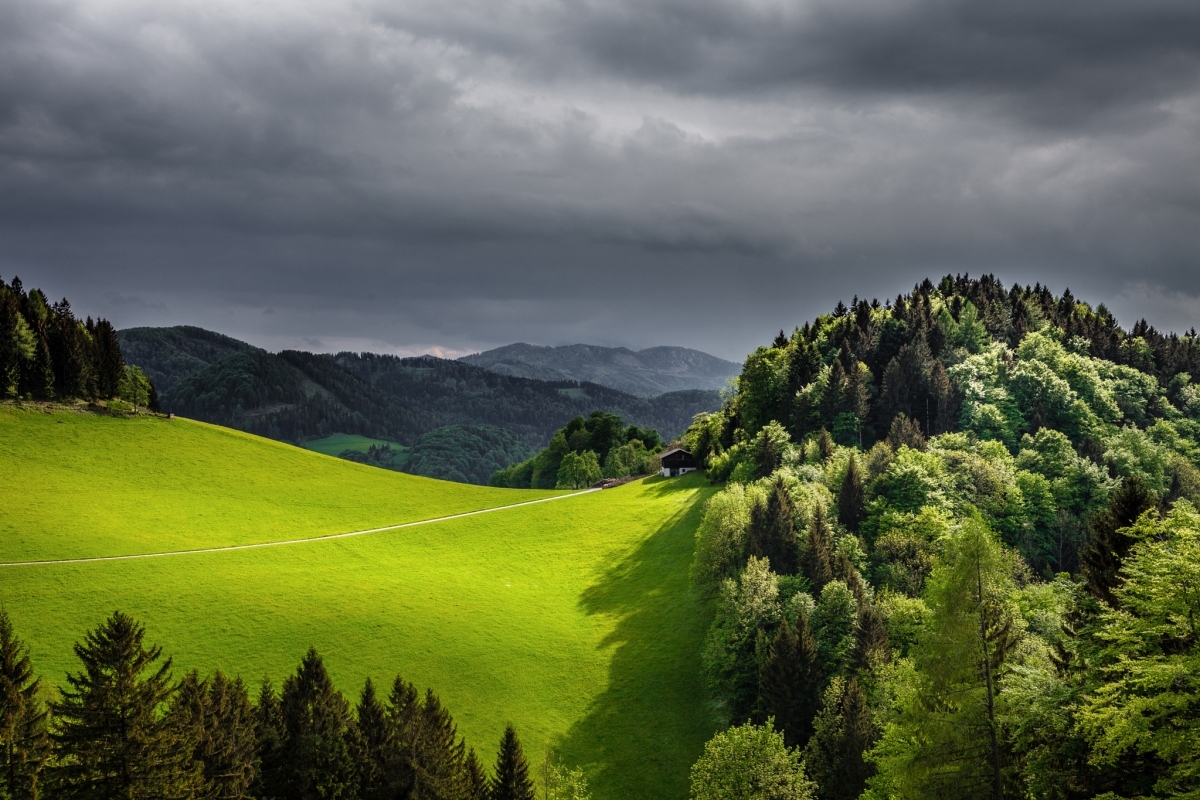 Spring, mountains, forest, fields, grass