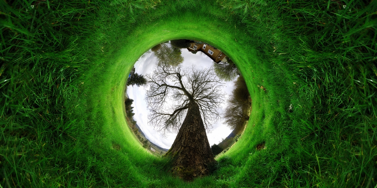 Abstract landscape, trees, house, grass,