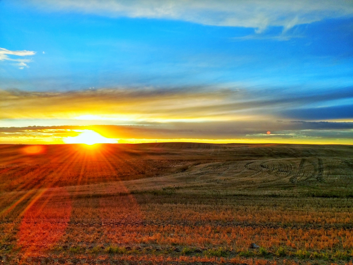 Grassland sunset wilderness 4k landscape map