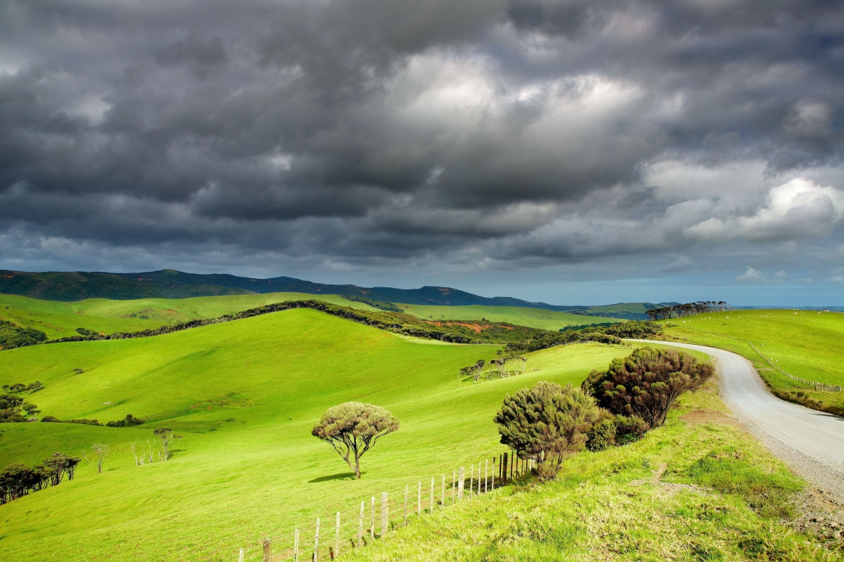 Grass and Dark Clouds 4K Wallpaper