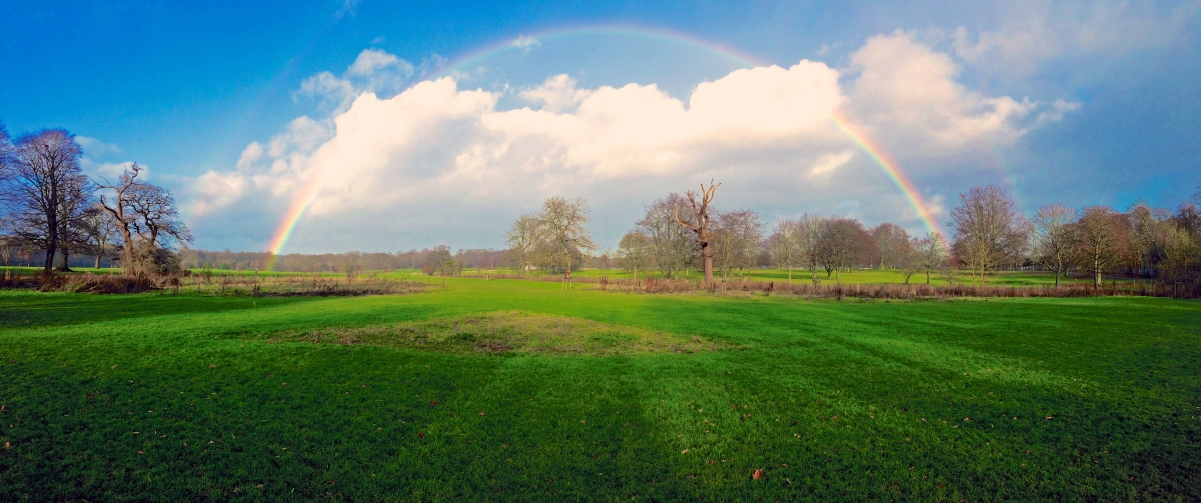 Rainbow blue sky green grass