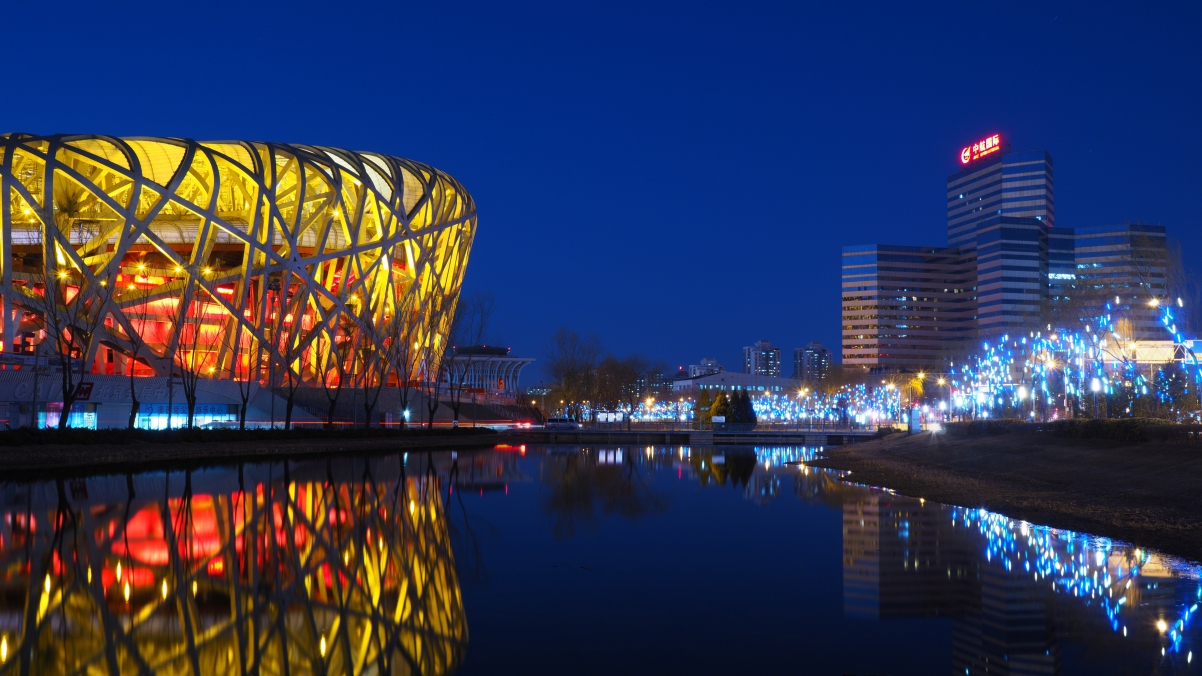 Beijing Bird