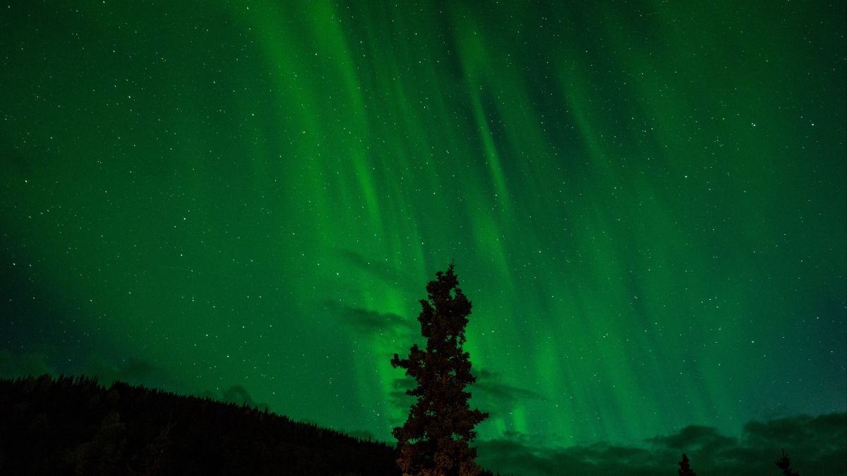 Northern lights green aurora starry sky