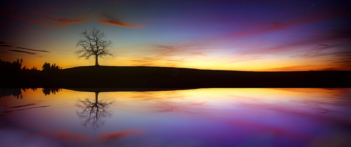 The lake and trees in the evening sky are beautiful
