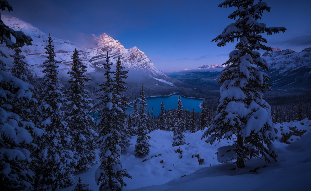 Banff National Park, Spruce, Pipa