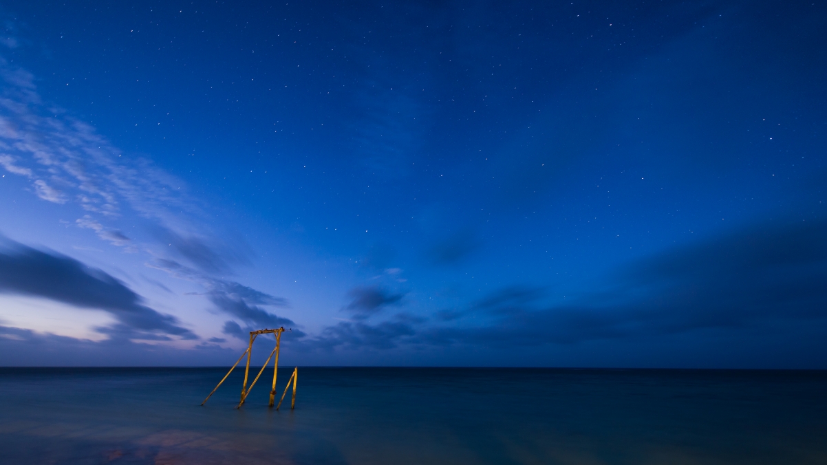 Large starfish in Queensland, Australia