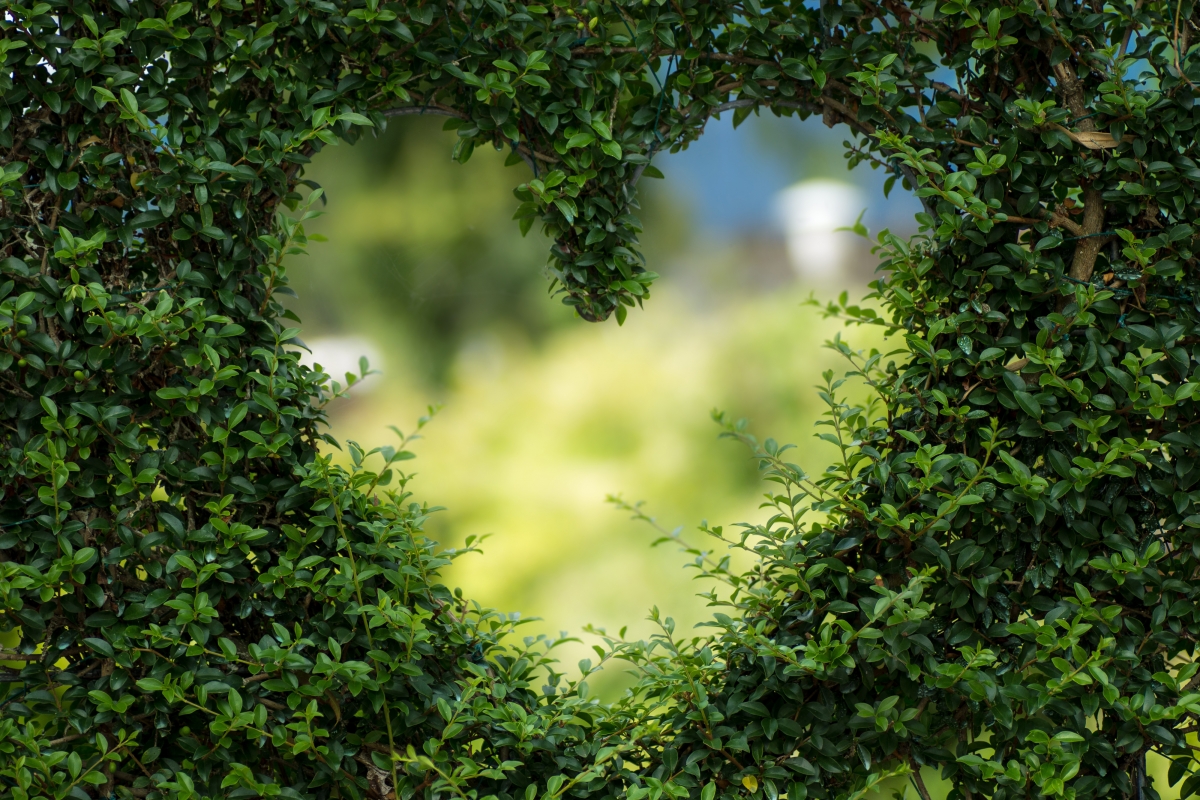 Love leaves cut out for valentine