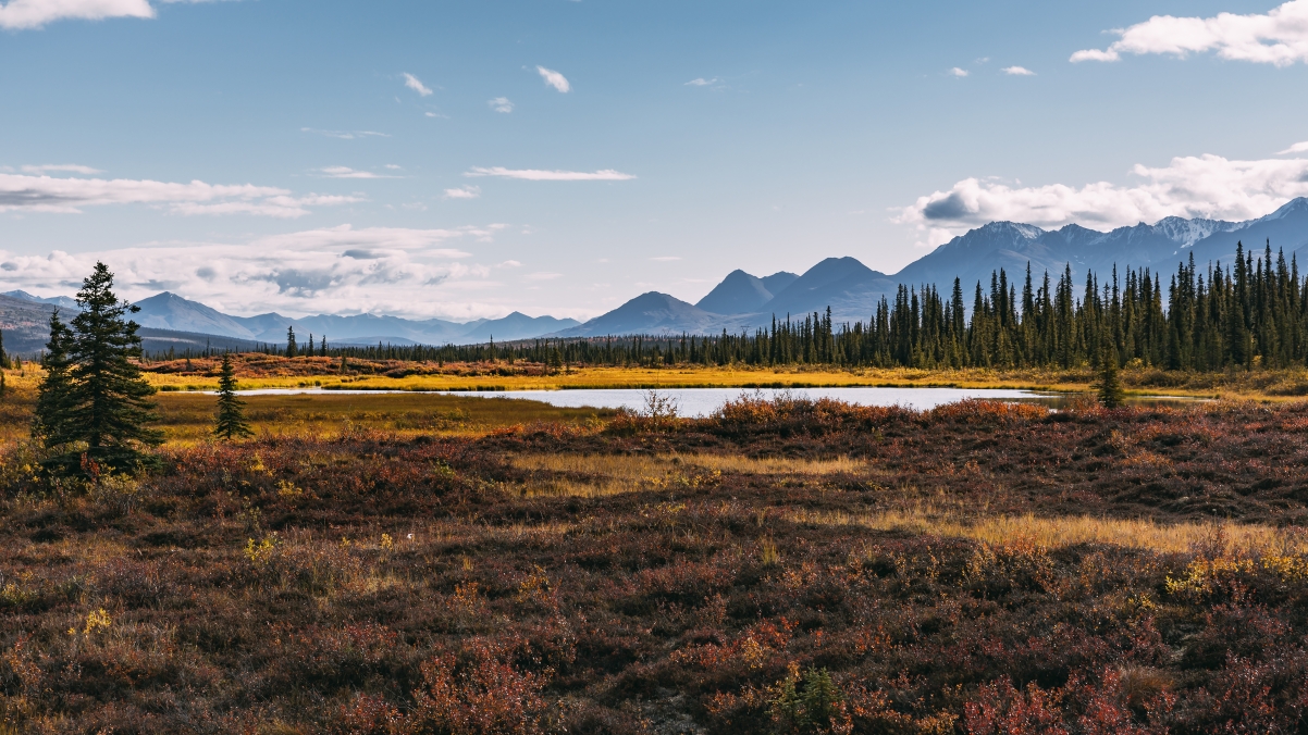 Alaska beautiful autumn landscape