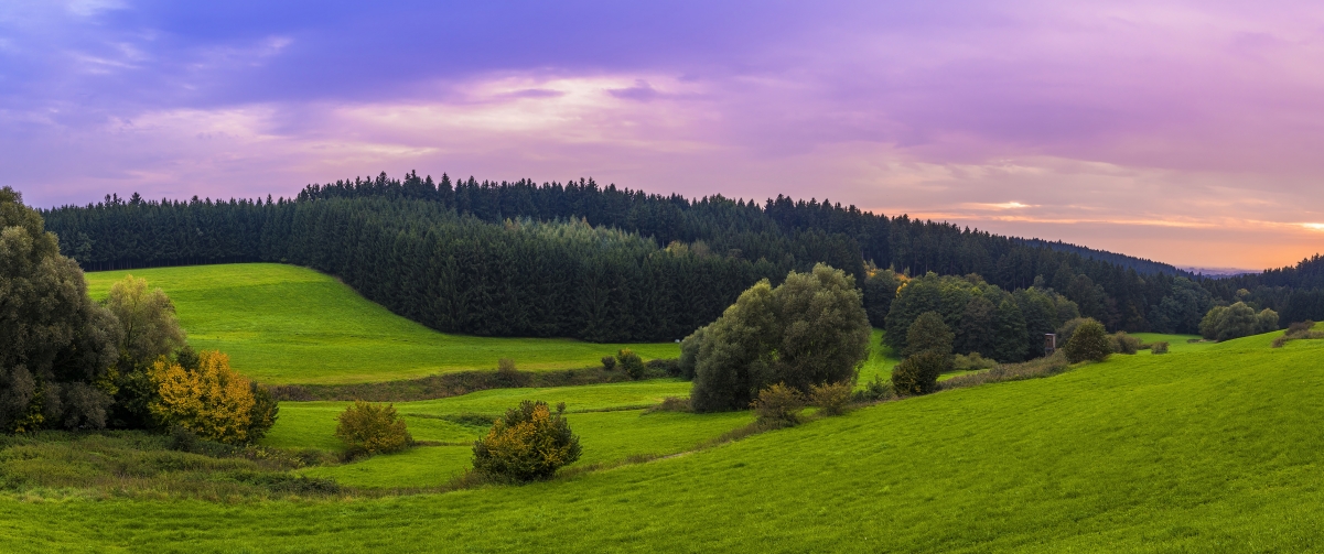 Alps landscape meadow mountain