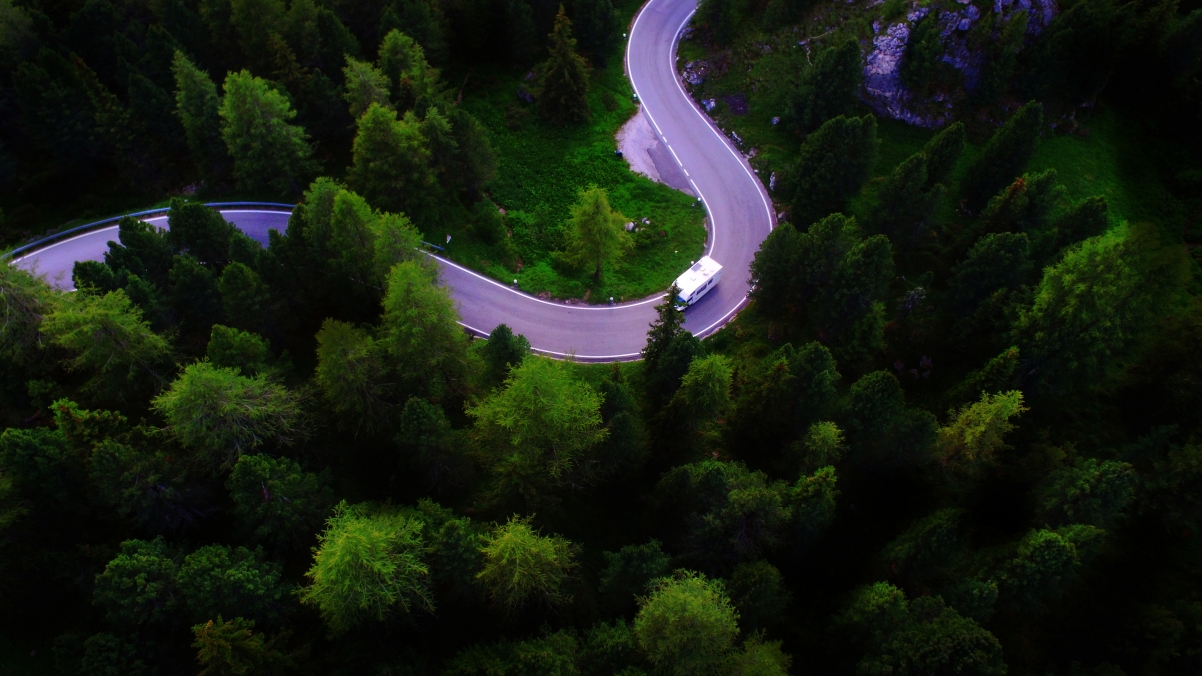 Alps, forest, trees, pine