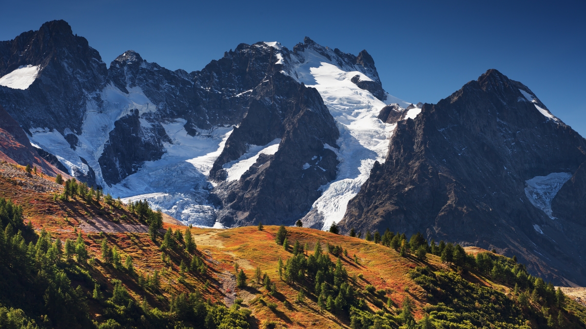 La Meije mountains, snow, woods