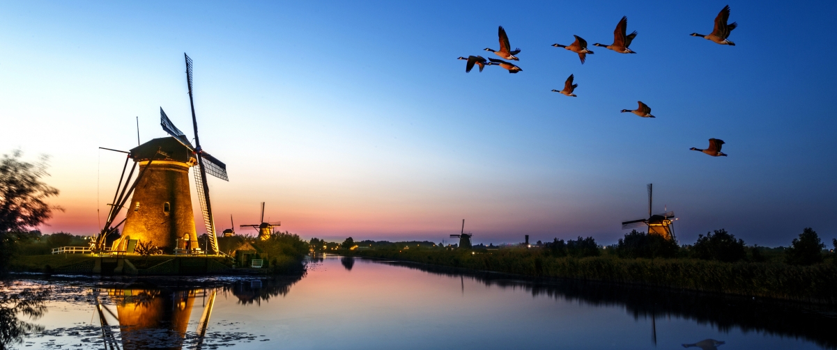 Kinderdijk windmill at sunset