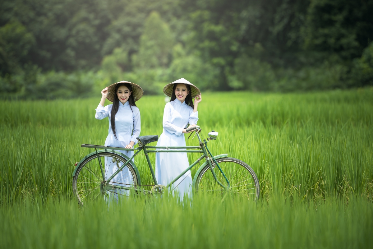 Bicycle woman green plantation