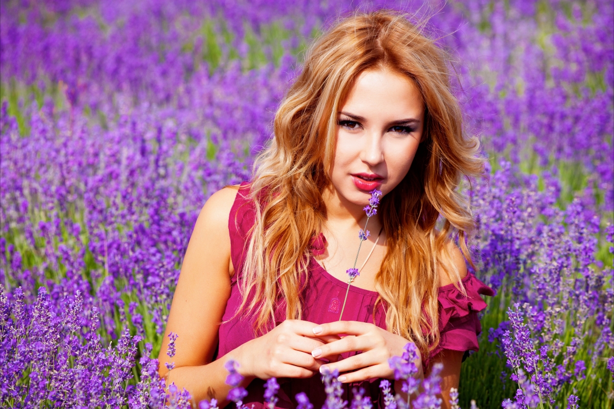 Purple Lavender Beauty 5K Wallpaper