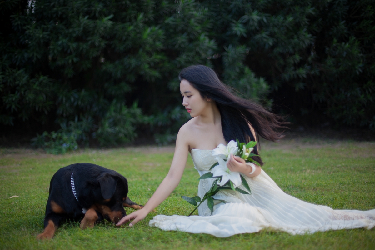 Beautiful woman sitting on the lawn 4k HD